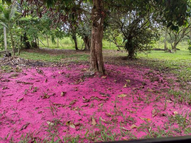 #399 - Chácara para Venda em Itanhaém - SP